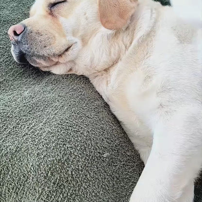 Serivoo Buharlı Evcil Hayvan Tarağı